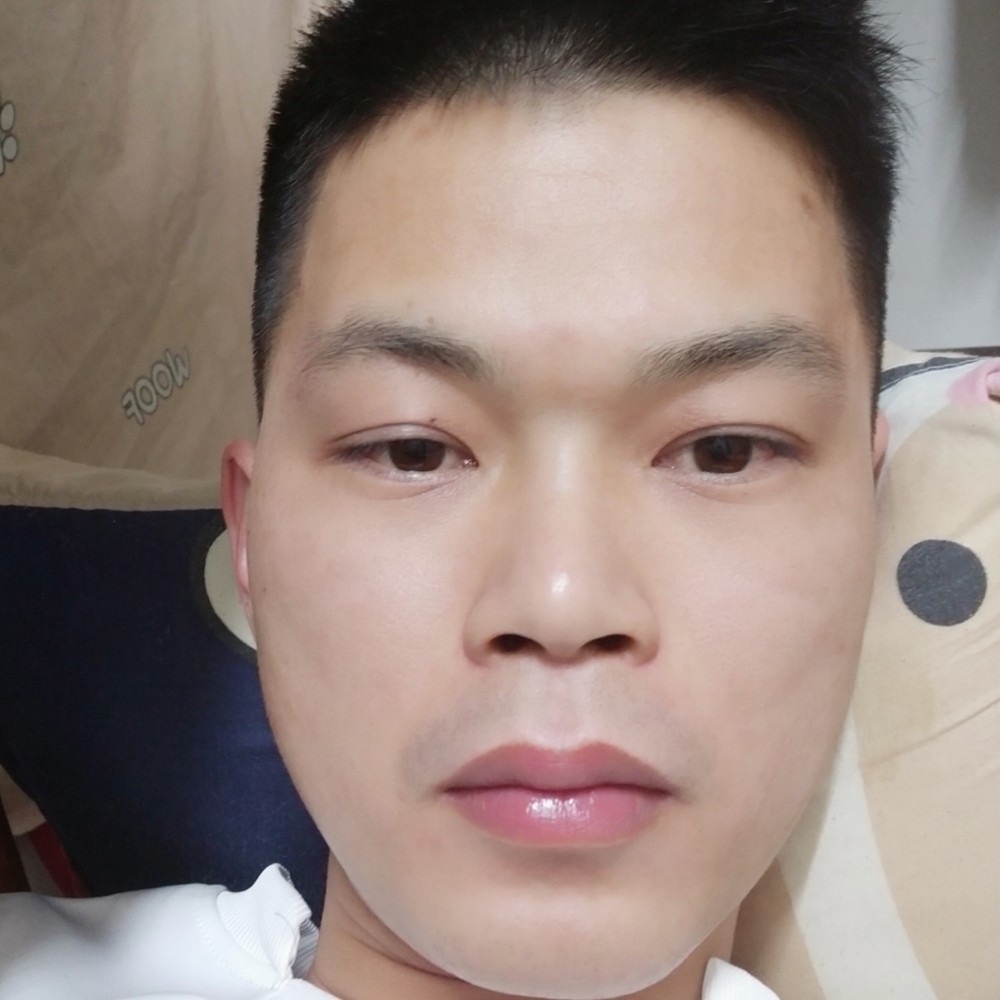 黯然拾忆飞鸟的照片