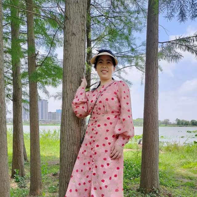 落叶的照片
