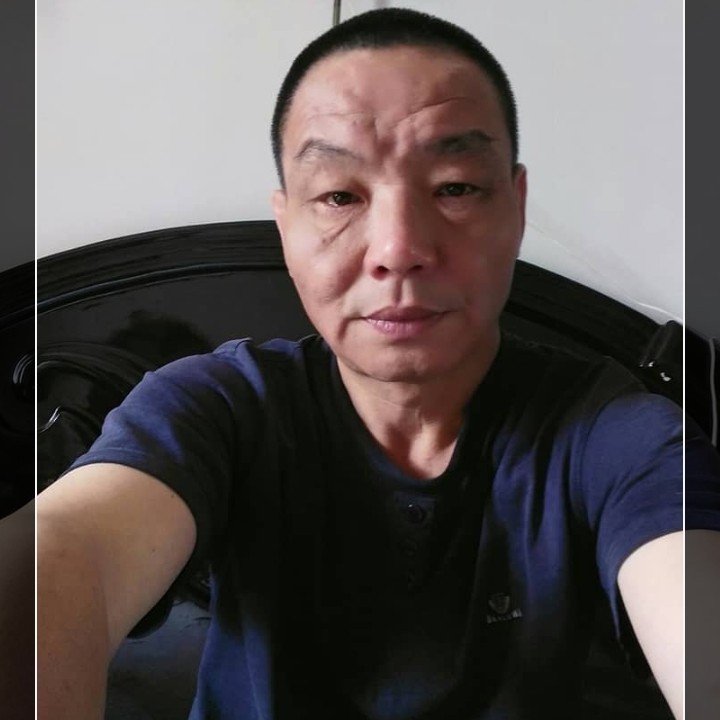 小鸽子停止沉默的照片
