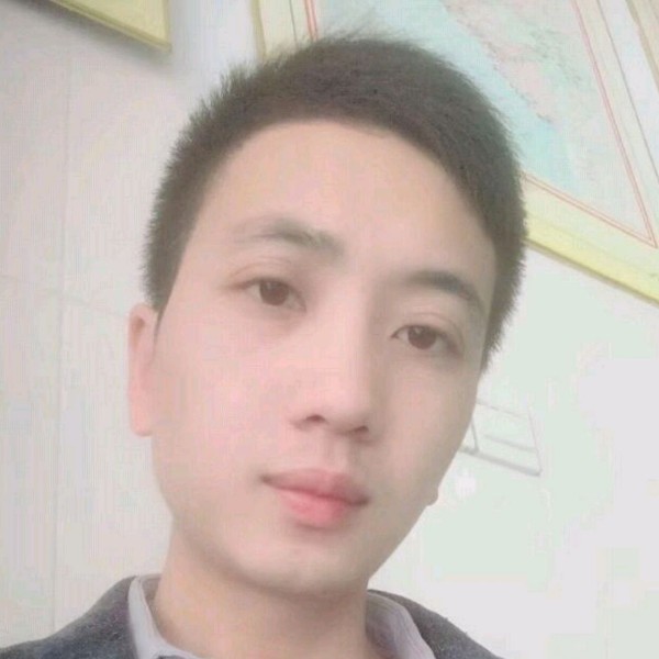 诚心向鸵鸟的照片