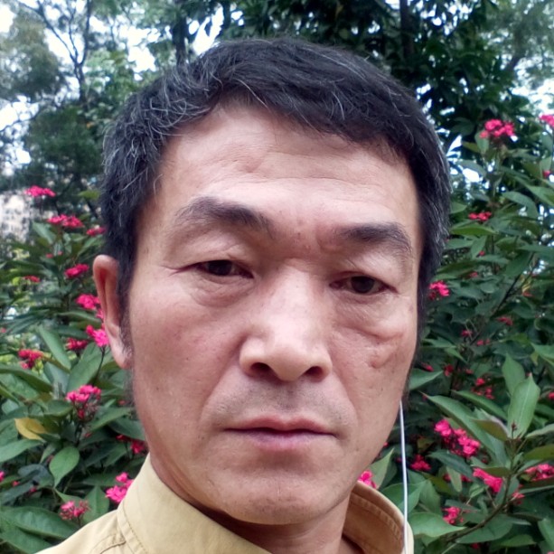 鸭子默默的照片