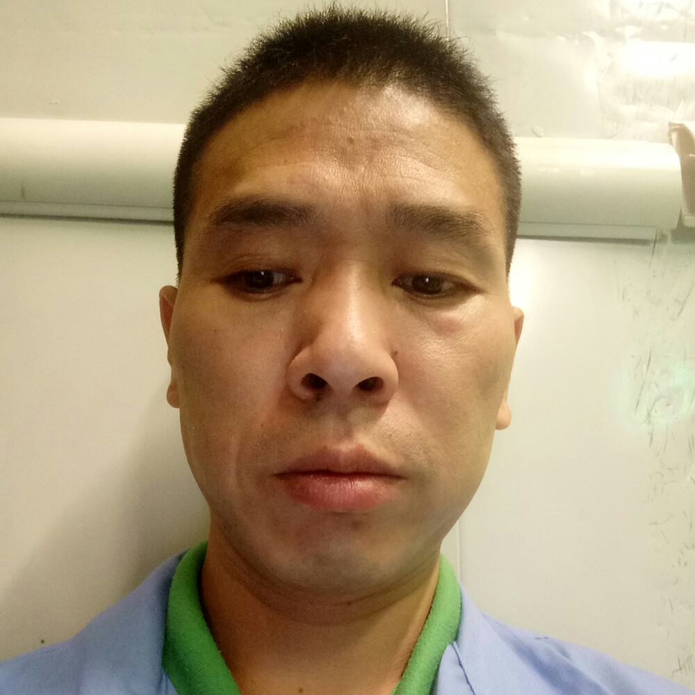 安静的鸟儿的照片