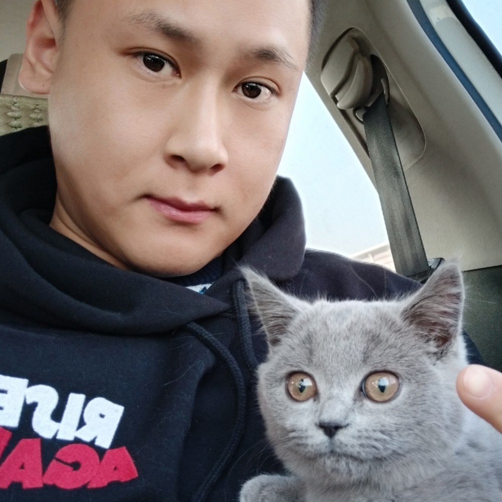 奇异果老实的照片