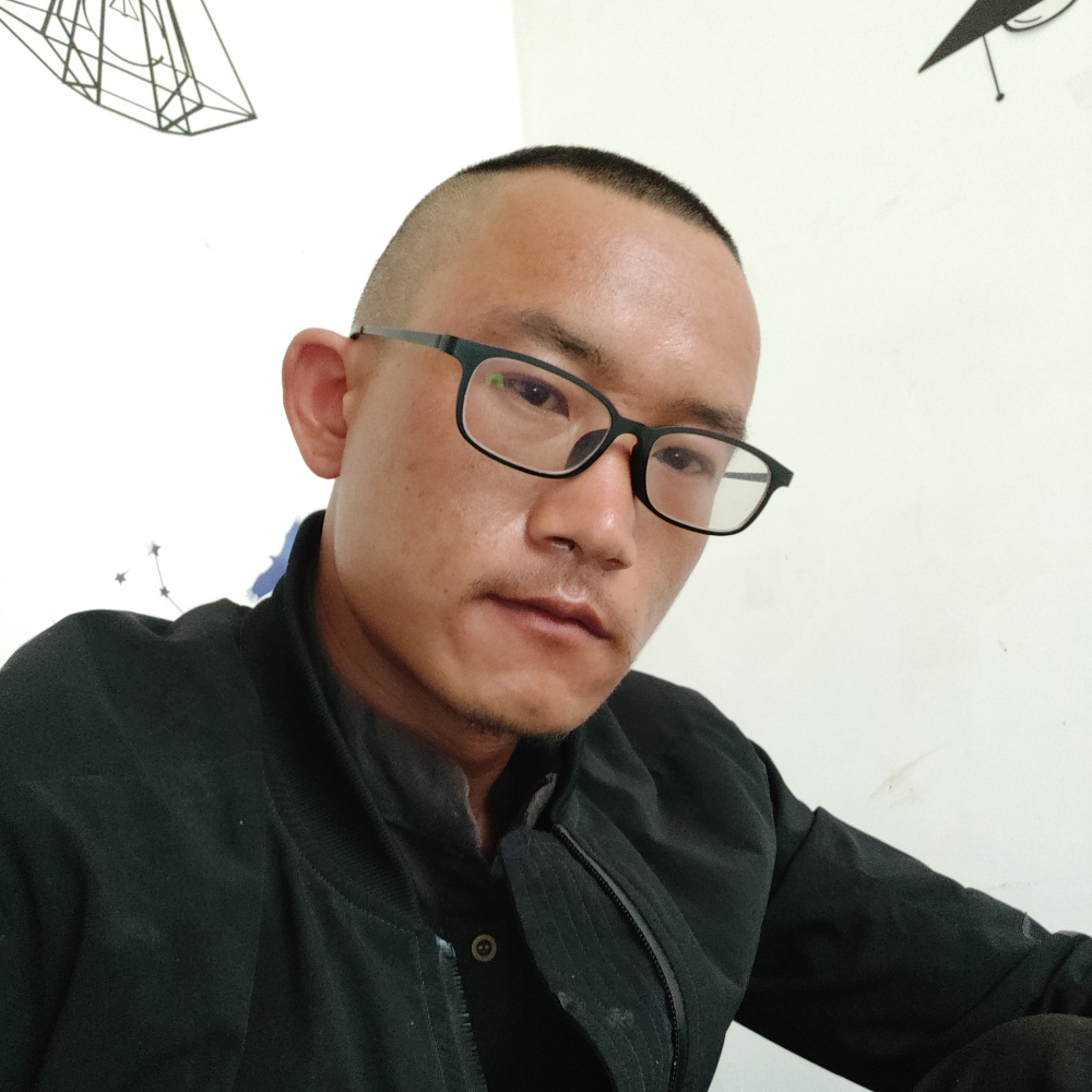 热心回首小鸽子的照片