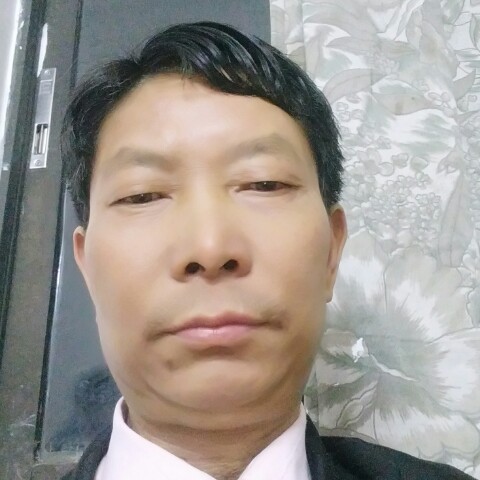 小河的鱼的照片