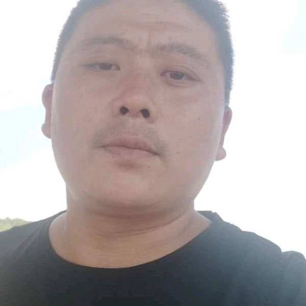 海燕邂逅饱满的照片