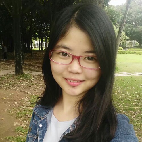 秋海棠的执着的照片