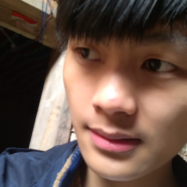 望尽天涯路.的照片