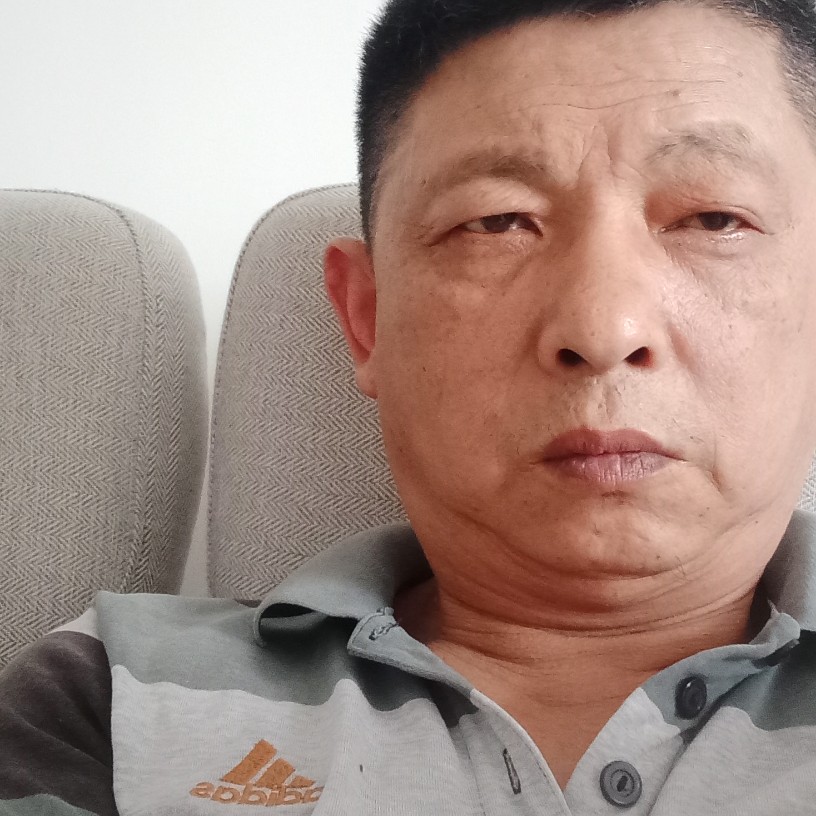 羊苦恋优美的照片