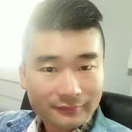 绚烂小天鹅的照片
