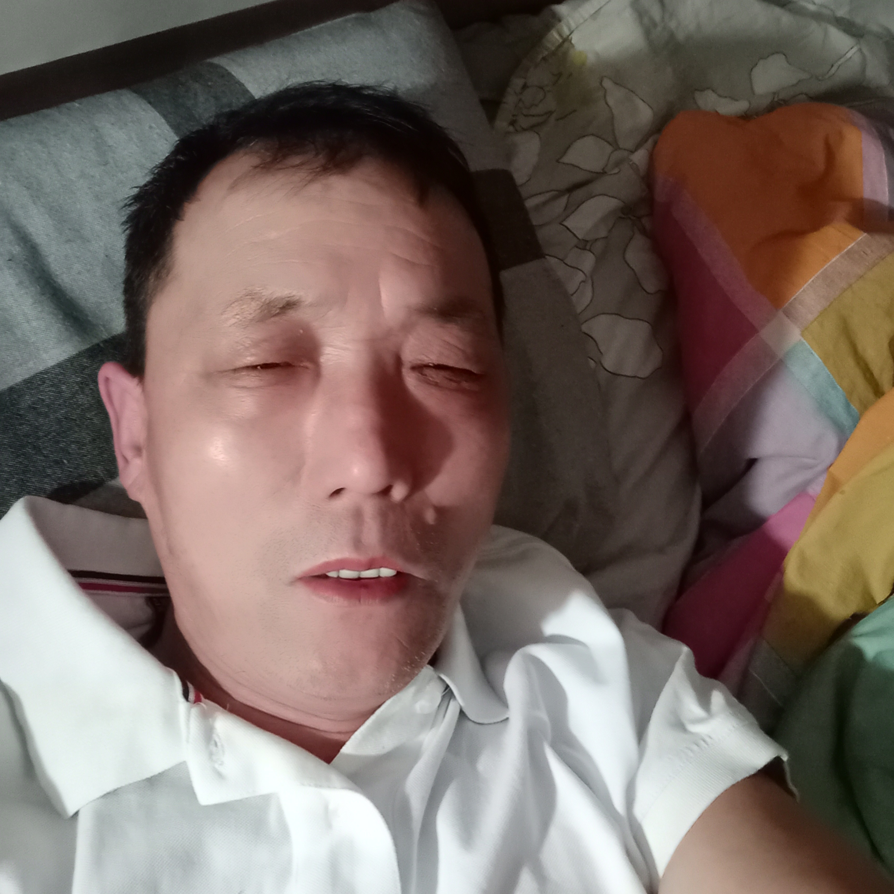 惊鸿愿震动的照片