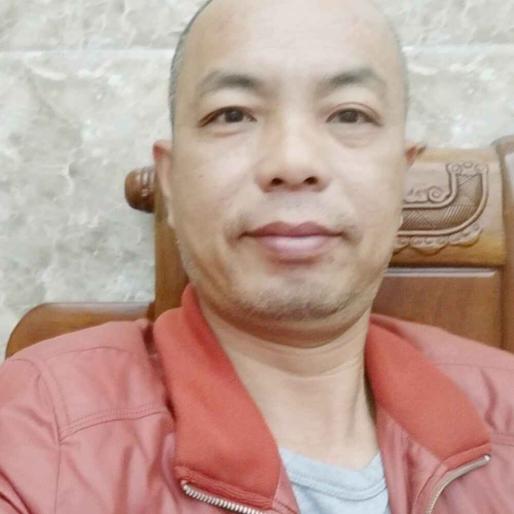 朴实康乃馨的照片
