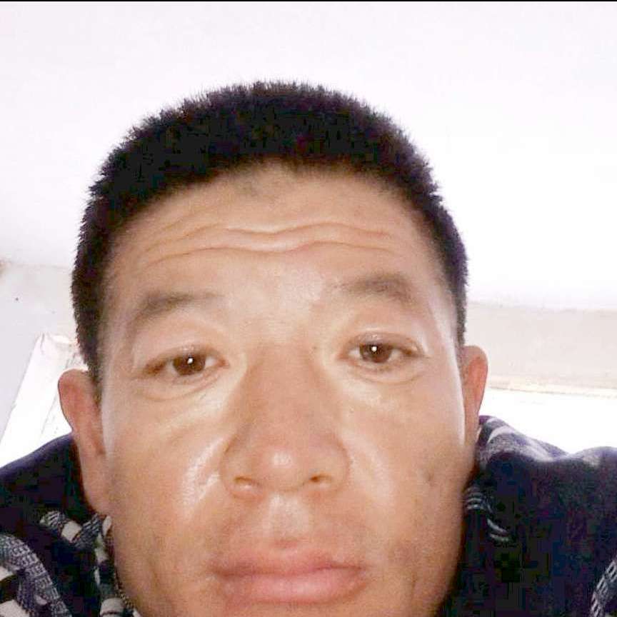 绿茶請苗条的照片