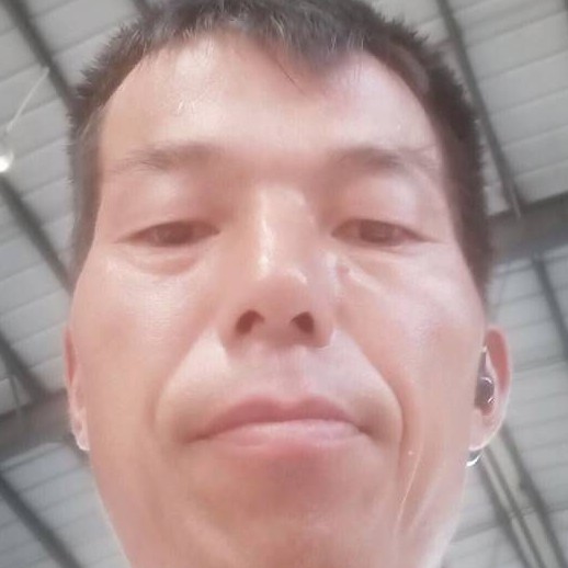 金毛隐形的照片