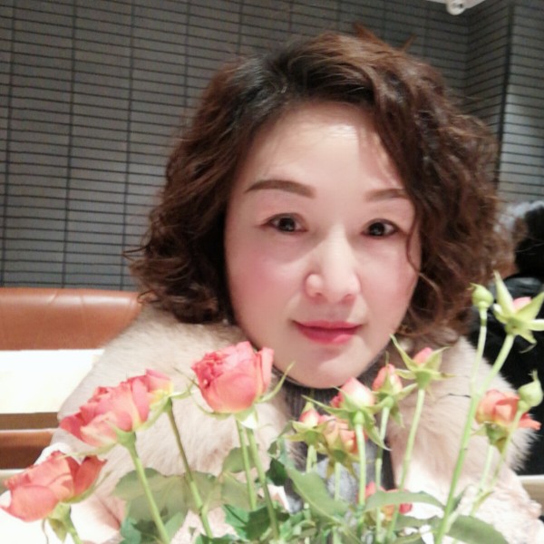 朴素小鸽子的照片