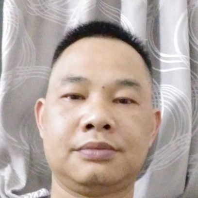 陶醉斑马的照片