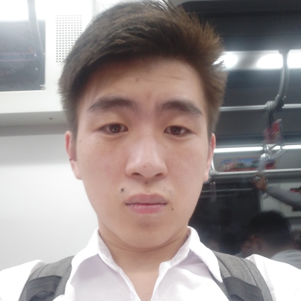 小海豚鲤鱼的照片
