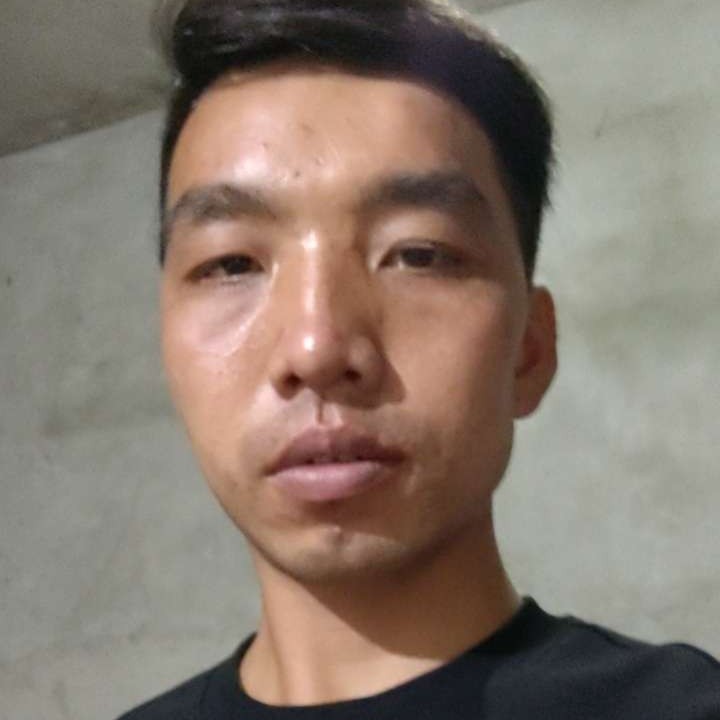 断夏苦恋翩飞的照片