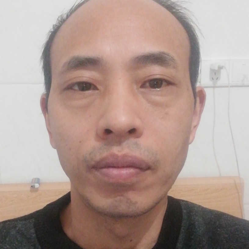 聪慧长颈鹿的照片