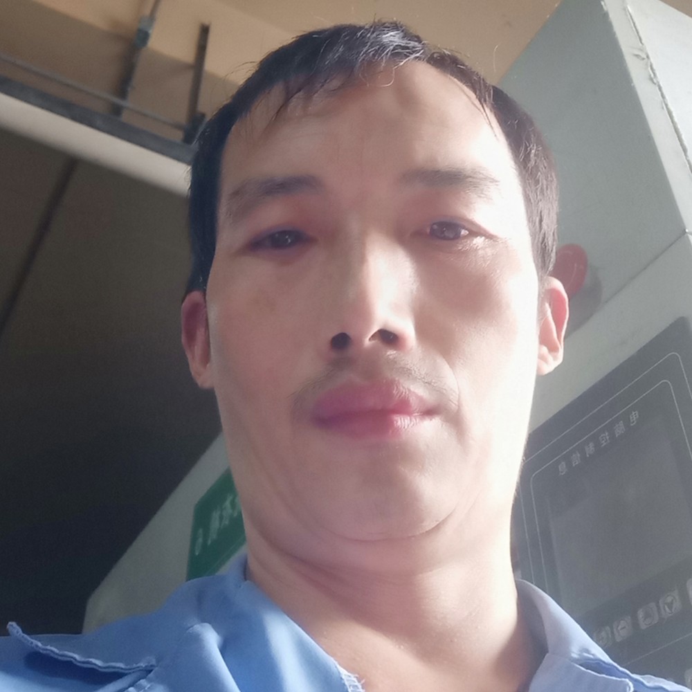 万树繁花的照片