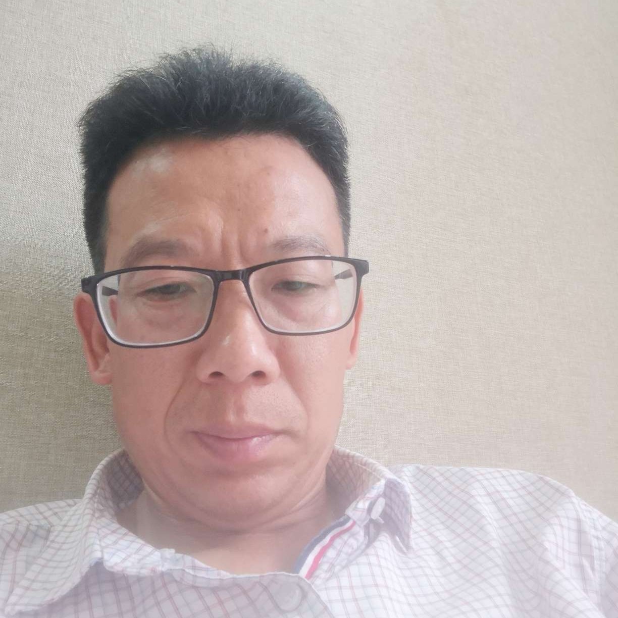 彼岸和殷勤的照片