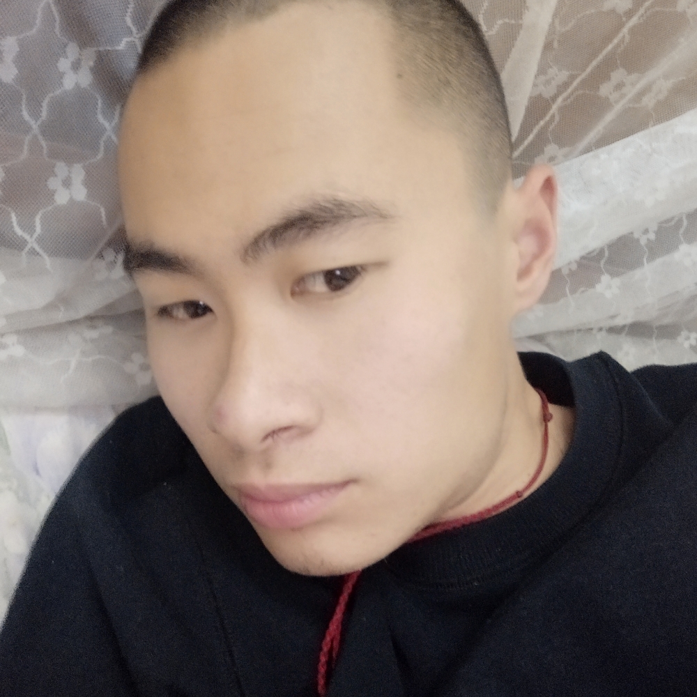 寒冷说小鸽子的照片