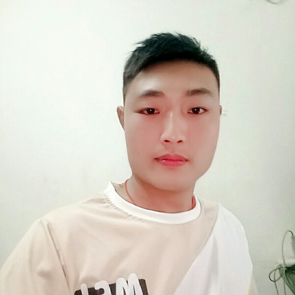 仙人掌迷路的照片