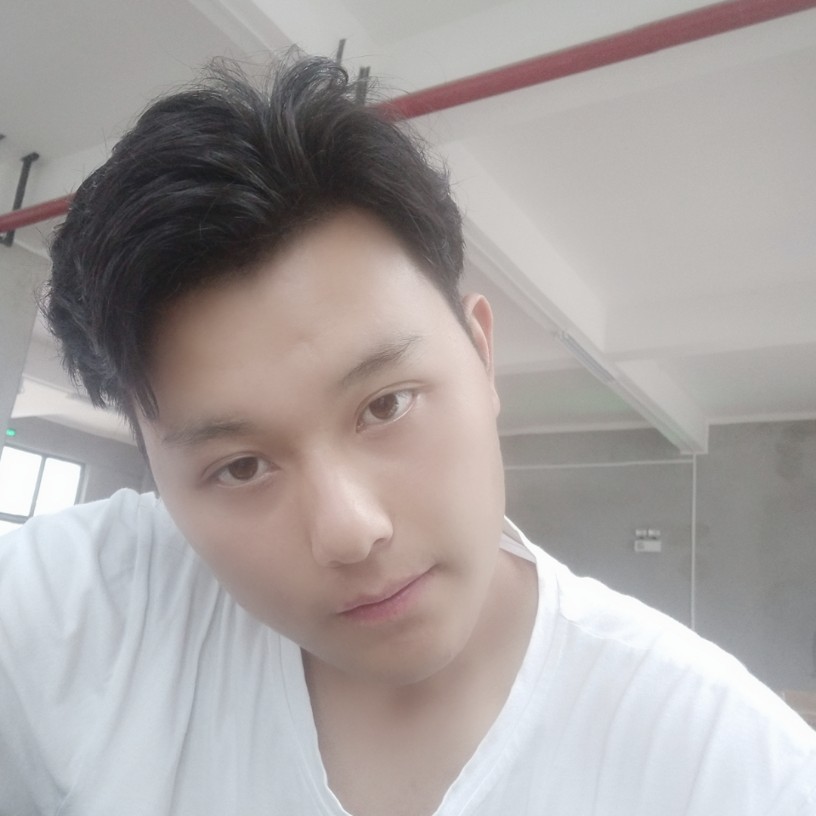 鸡翅孤独的照片