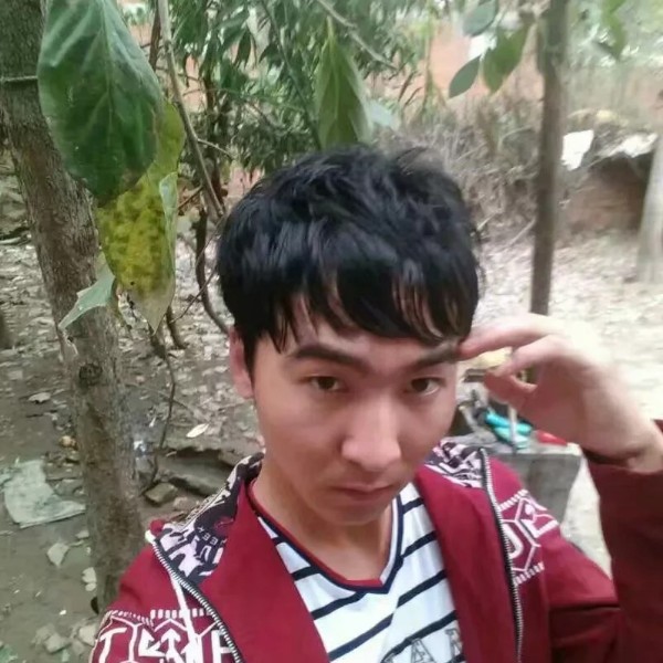 如若初见2的照片