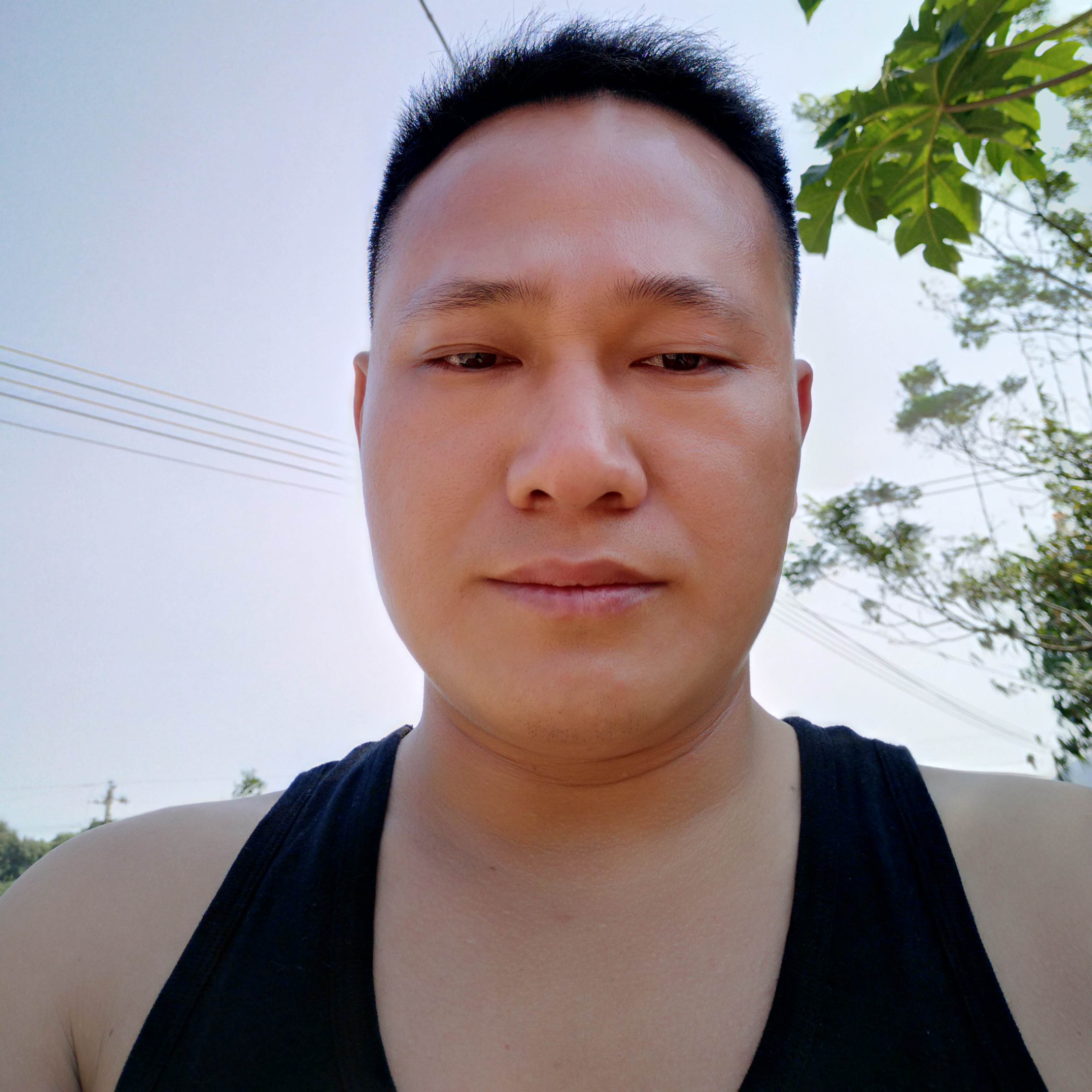 青春v无悔的照片