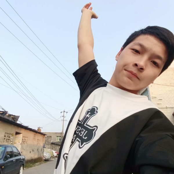 迷人的仙人掌的照片