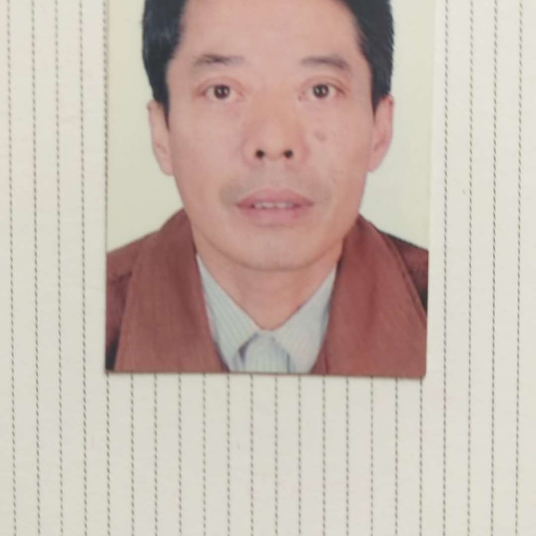 缓慢請羽毛振记的照片