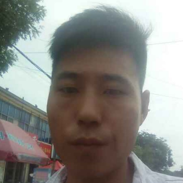 我的菜的照片