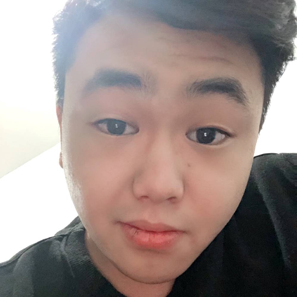 沉静相许犀牛的照片