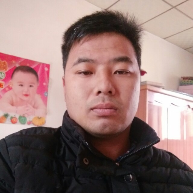 谨慎金鱼的照片