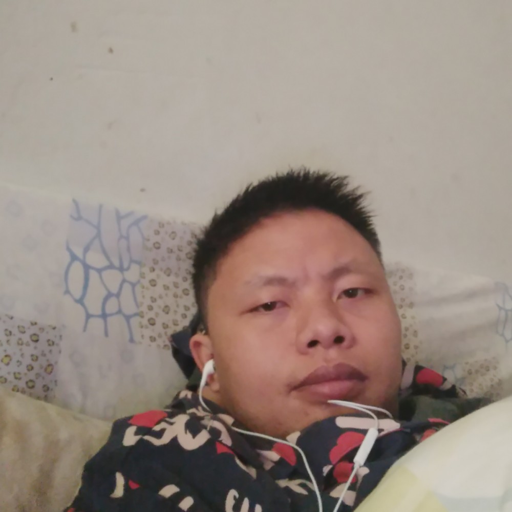 愿意一生一世2的照片