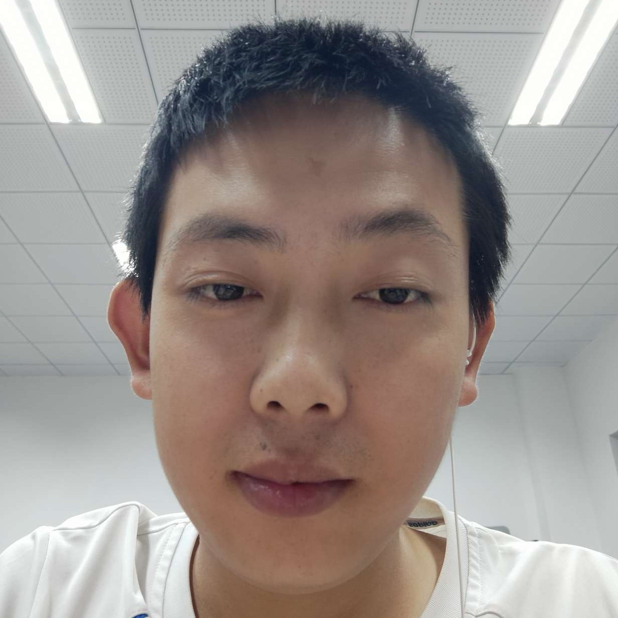 鸵鸟苗条的照片