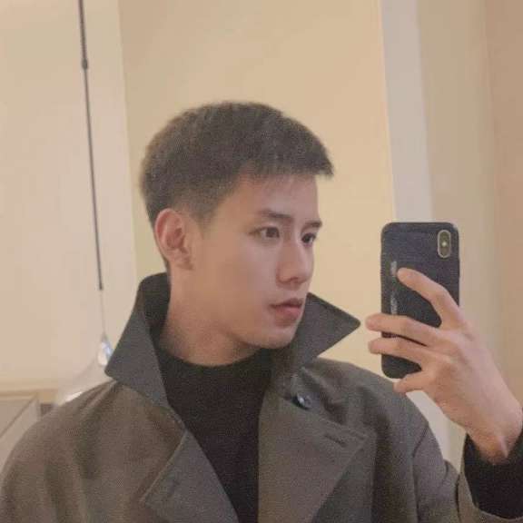 魁梧灰太狼的照片