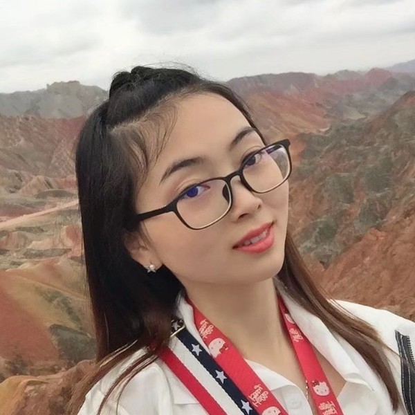 盛开的蔷薇花的照片