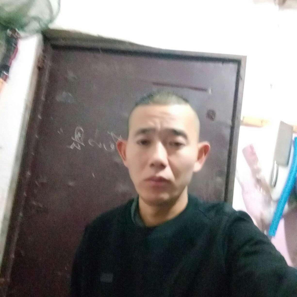 春天愿爱撒娇的照片