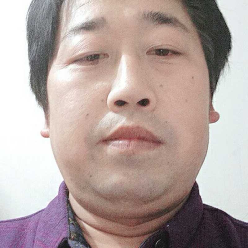 洁净浅吻刺猬的照片
