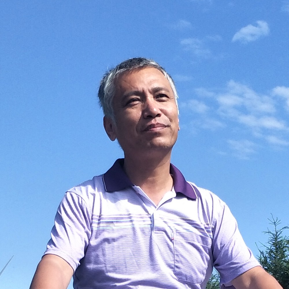 砖头漫步妩媚的照片