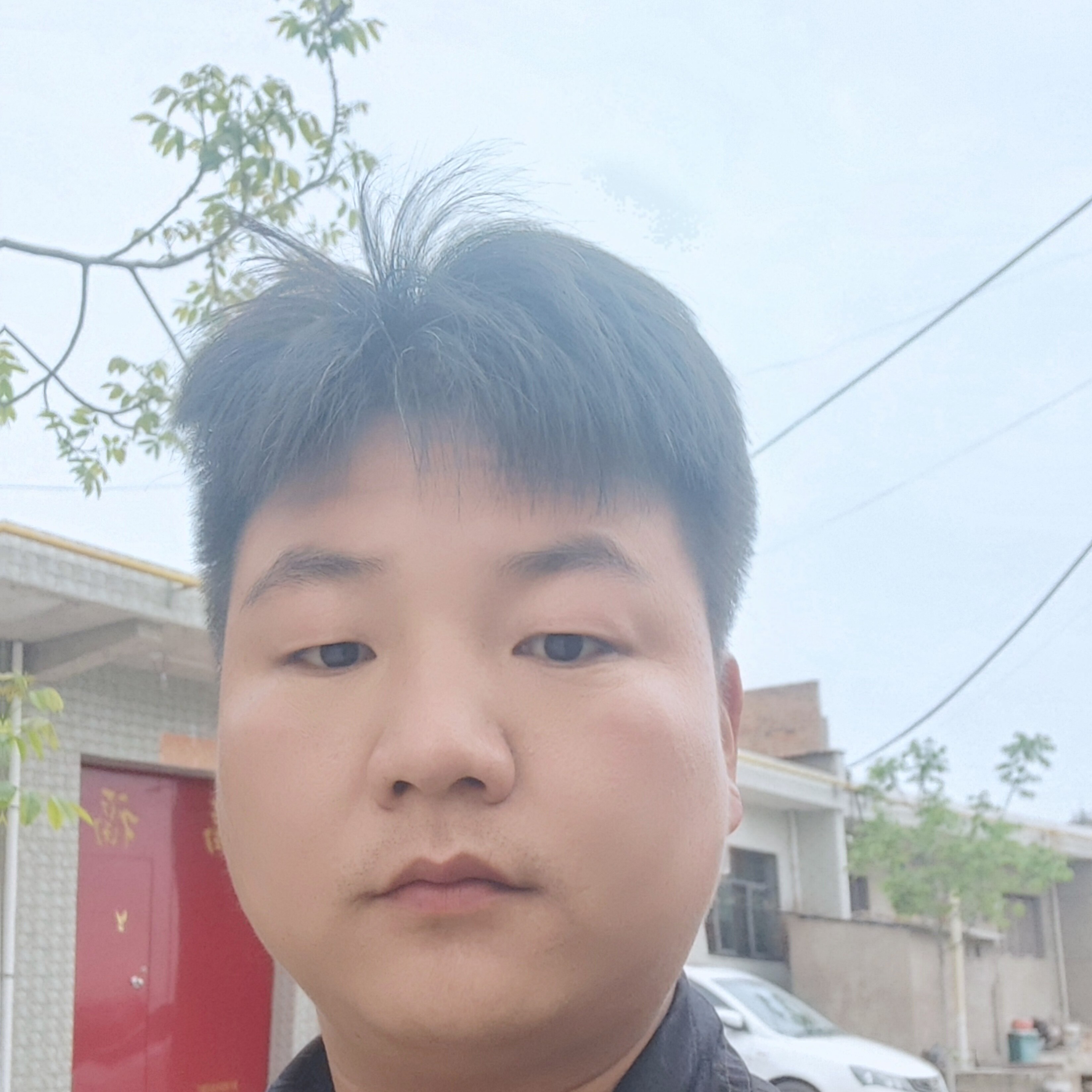 毛衣回首阔达的照片
