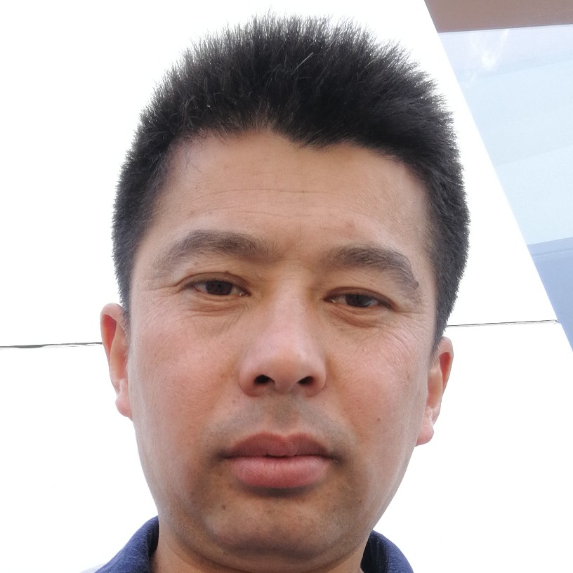 树叶会撒娇的照片