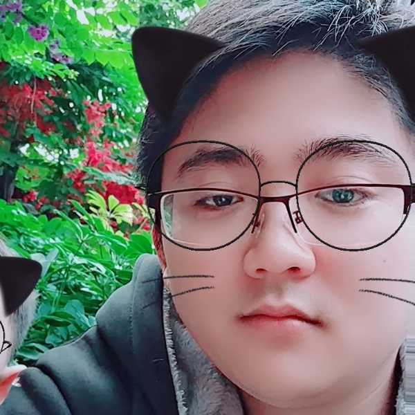 Ruby-猫的照片