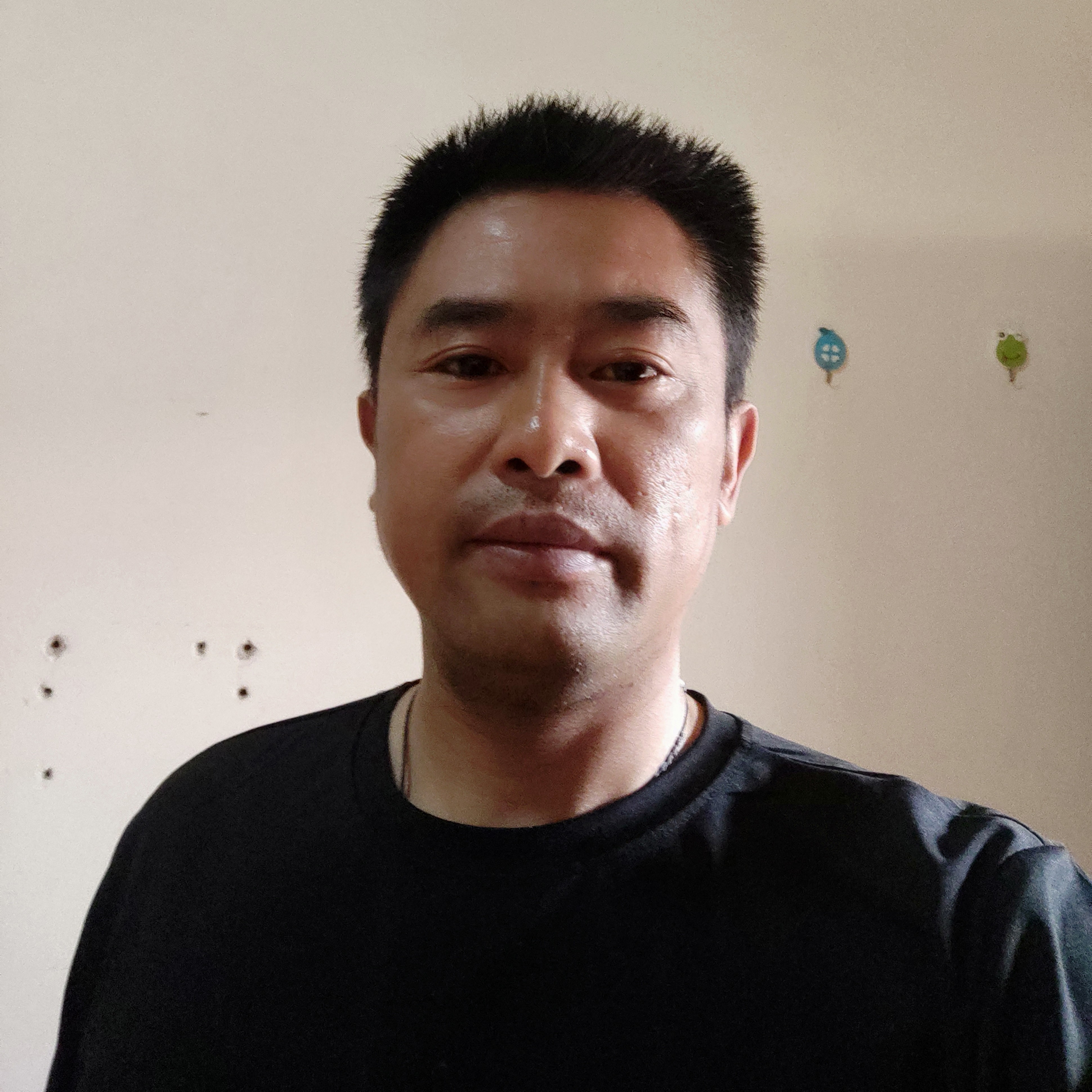 小白菜与缓慢的照片