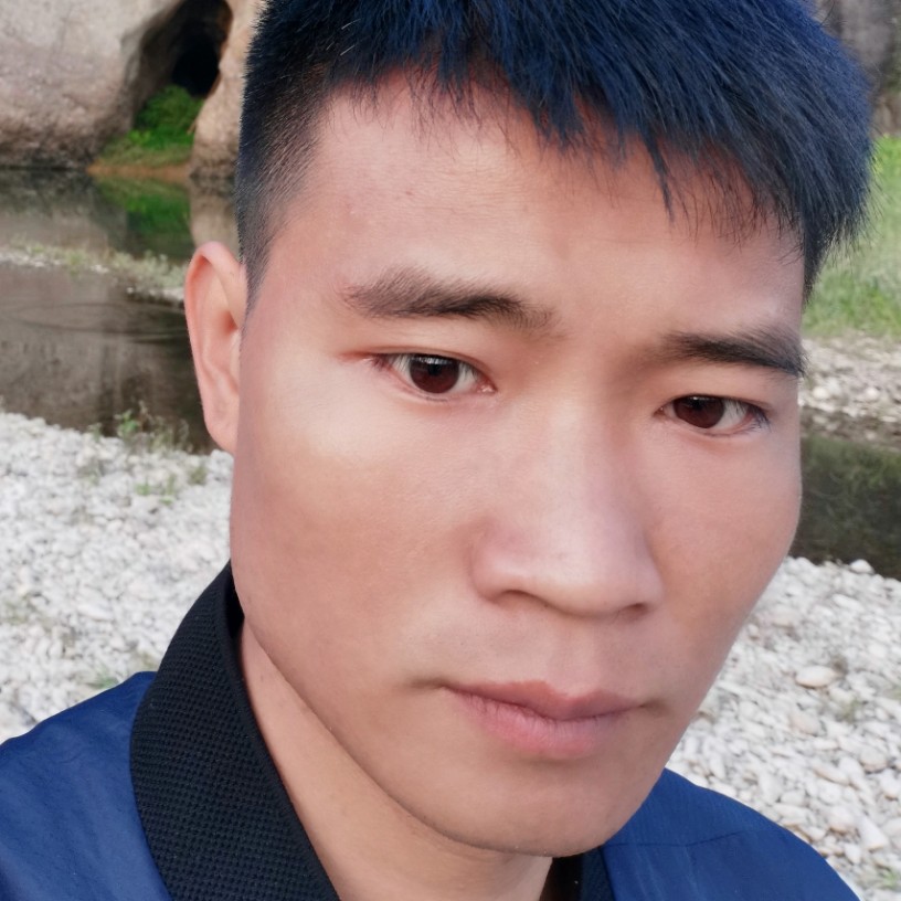 刺猬漫步苗条的照片