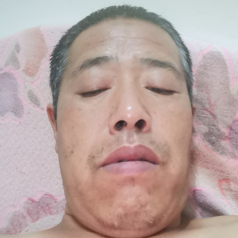 初雨蹁跹开放的照片