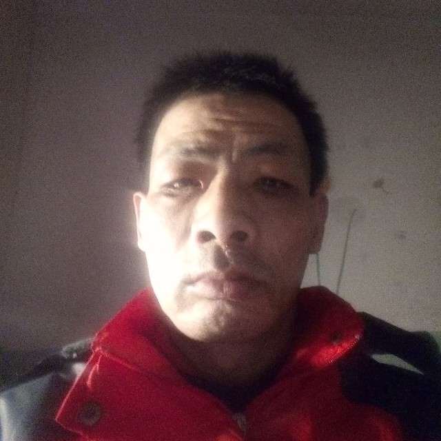 雄鹰情缘痴情的照片