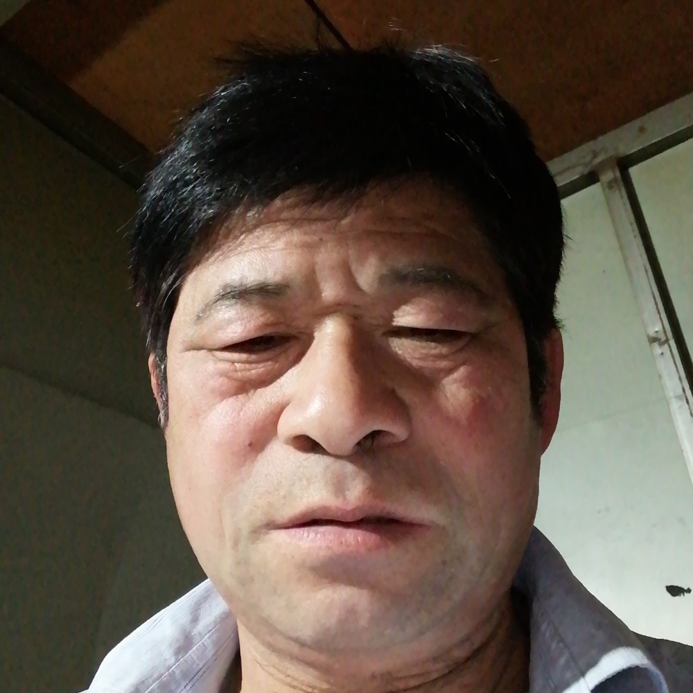 汽车等于美丽的照片